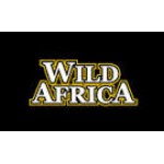 Wild Africa 南非非洲豹